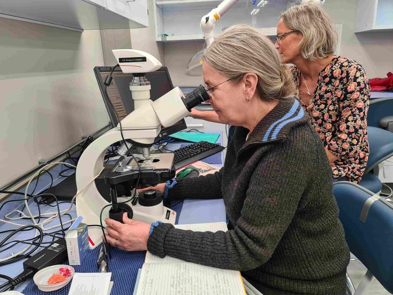 Wenche Eikrem and Anna Vader analysing microalgal compositions onboard Kronprins Haakon. 